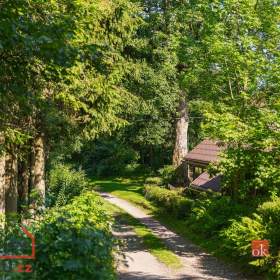 Foto inzerátu Prodej stavebního pozemku 1 400 m², Říčky v Orlických horách