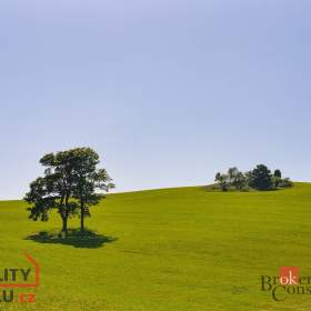Foto inzerátu Prodej stavebního pozemku 1 400 m², Říčky v Orlických horách
