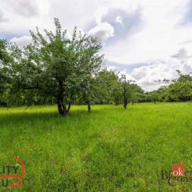 Foto inzerátu Prodej stavebního pozemku 3 106 m2, Ostřešany