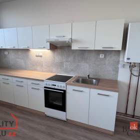 Pronájem bytu 2+kk 55 m², Mlékojedy / 19536802