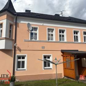 Pronájem bytu 1+1 42 m2, Planá / 19536960