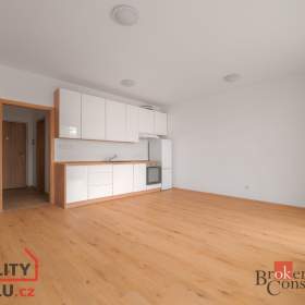 Pronájem bytu 1+kk 36 m², Plzeň / 19549710
