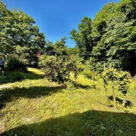 Foto inzerátu Prodej chaty 35 m2, Vítkov