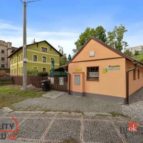 Prodej restaurace 90 m2, Kostelec nad Orlicí / 19550200