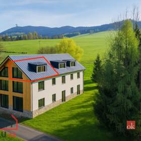 Prodej bytu 1+kk 46 m2, Dolní Morava / 19550317