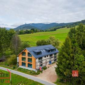 Foto inzerátu Prodej bytu 1+kk 46 m², Dolní Morava