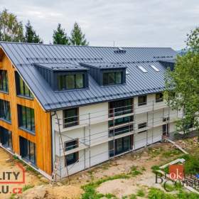 Foto inzerátu Prodej bytu 1+kk 46 m², Dolní Morava