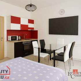 Prodej bytu 1+kk 26 m², Brno / 19551529