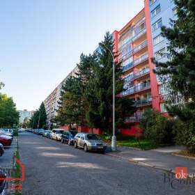 Prodej bytu 1+1 39 m2, Plzeň / 19551540