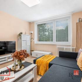 Prodej bytu 3+1 62 m², Praha / 19558296