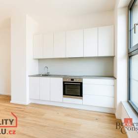 Pronájem bytu 1+kk 24 m², Brno / 19559669