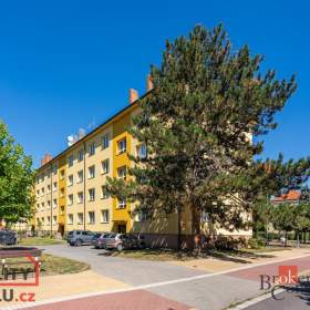 Pronájem bytu 2+1 38 m2, Pardubice / 19559962