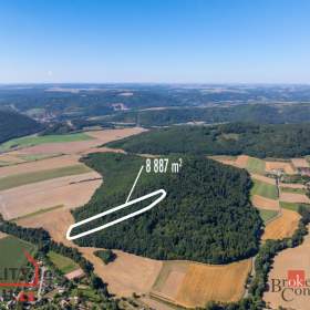 Fotka k inzerátu Prodej lesa 8 887 m², Lomnička / 19250928