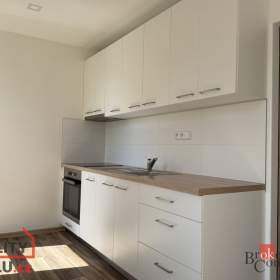 Pronájem bytu 1+1 35 m2, Opava / 19563529