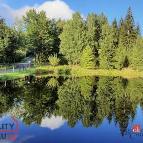 Prodej specifického pozemku 5 094 m², Desná / 19568946