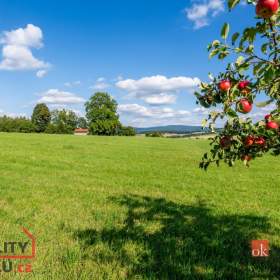Foto inzerátu Prodej louky 7 126 m², Chrastava