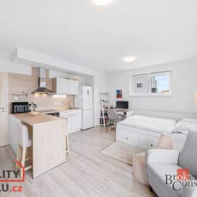 Prodej bytu 1+kk 35 m², Heřmanova Huť / 19578022