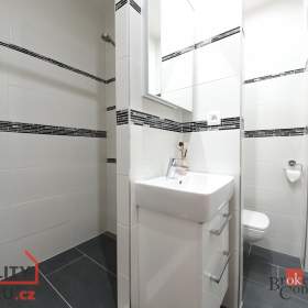 Pronájem bytu 1+1 31 m², Hlučín / 19578691