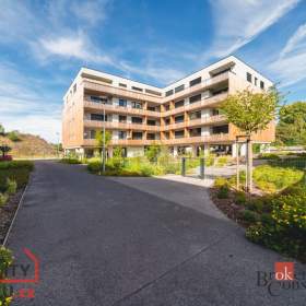 Pronájem bytu 1+kk 29 m², Plzeň / 19579287