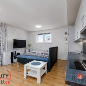 Pronájem bytu 1+kk 40 m², Heřmanova Huť / 19579746