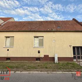 Prodej rodinného domu 170 m², Lanžhot / 19587316