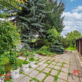 Foto inzerátu Prodej atypického bytu 390 m², Dvůr Králové nad Labem