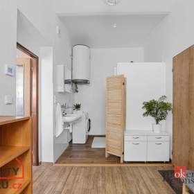 Foto inzerátu Prodej atypického bytu 390 m², Dvůr Králové nad Labem