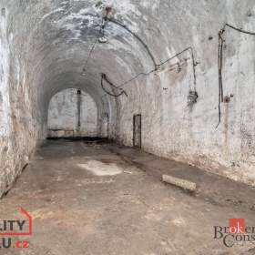 Foto inzerátu Prodej komerčního pozemku 2 963 m², Olešnice v Orlických horách