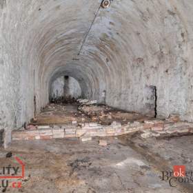 Foto inzerátu Prodej komerčního pozemku 2 963 m², Olešnice v Orlických horách