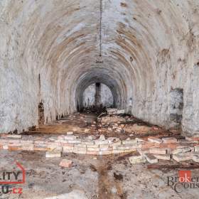 Foto inzerátu Prodej komerčního pozemku 2 963 m², Olešnice v Orlických horách