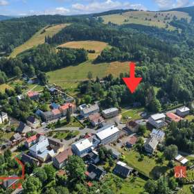 Prodej komerčního pozemku 2 963 m², Olešnice v Orlických horách / 19596464