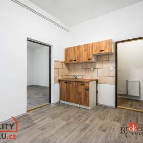 Pronájem bytu 1+1 41 m², Hladké Životice / 19599102