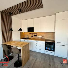 Pronájem bytu 1+kk 43 m², Plzeň / 19600169