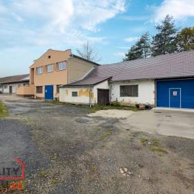 Foto inzerátu Pronájem obchodního prostoru 100 m², Blovice