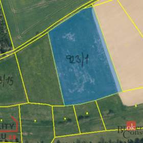 Prodej louky 44 551 m², Miličín / 19600605