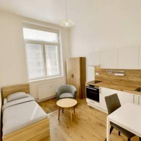 Prodej bytu 1+kk 21 m², Ostrava / 19603739