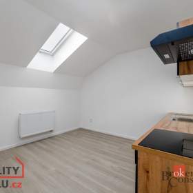 Pronájem bytu 2+kk 47 m², Břasy / 19603839