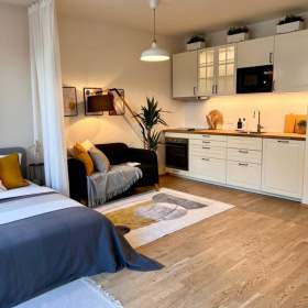 Pronájem bytu 1+kk 41 m², Praha / 19607353