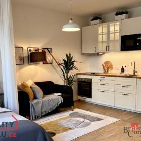 Pronájem bytu 1+kk 41 m², Praha / 19607353