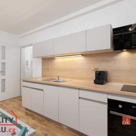 Prodej bytu 1+kk 34 m², Ostrava / 19607910