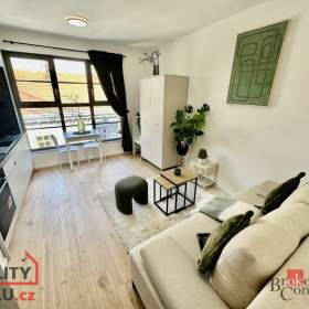 Pronájem bytu 1+kk 24 m², Brno / 19607987