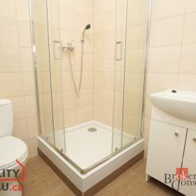 Foto inzerátu Pronájem bytu 1+kk 34 m², Mlékojedy