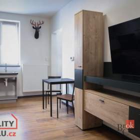 Pronájem bytu 2+1 75 m², Plzeň / 19608690