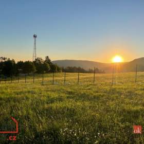 Prodej louky 2 884 m², Střílky / 19609248