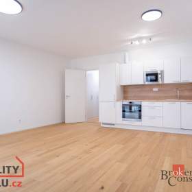 Pronájem bytu 1+kk 37 m², Brno / 19620209