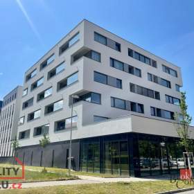 Prodej bytu 2+kk 55 m², Plzeň / 19625357