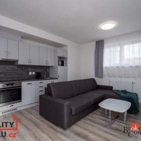 Pronájem bytu 1+kk 42 m², Heřmanova Huť / 19627661