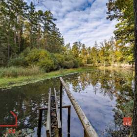 Foto inzerátu Prodej specifického pozemku 64 790 m², Chlum u Třeboně