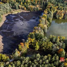 Foto inzerátu Prodej specifického pozemku 64 790 m², Chlum u Třeboně