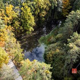 Foto inzerátu Prodej specifického pozemku 64 790 m², Chlum u Třeboně